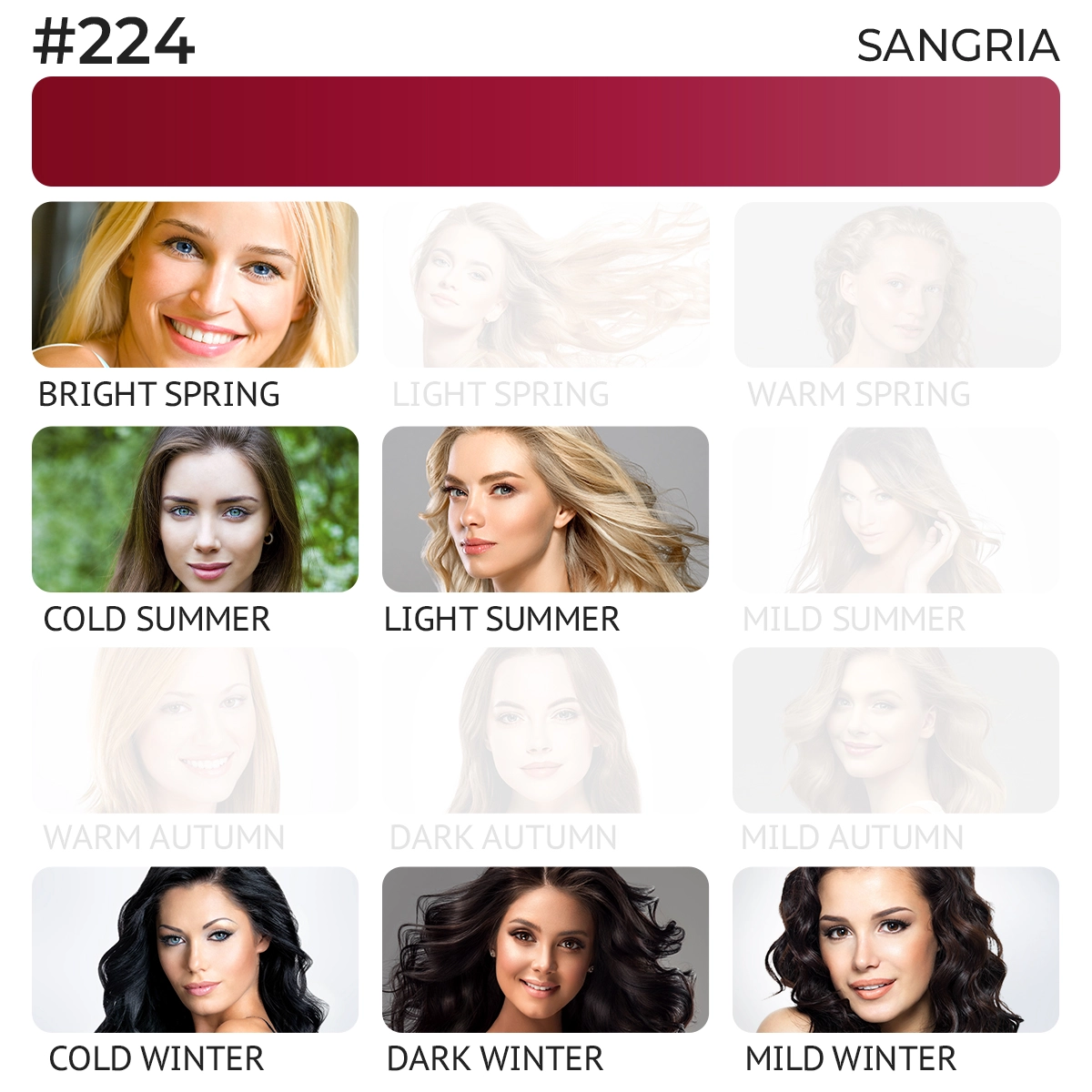 #224 Lip pigment "Sangria"