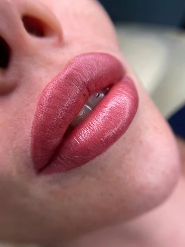 Пигмент для губ #206 Пепельная роза