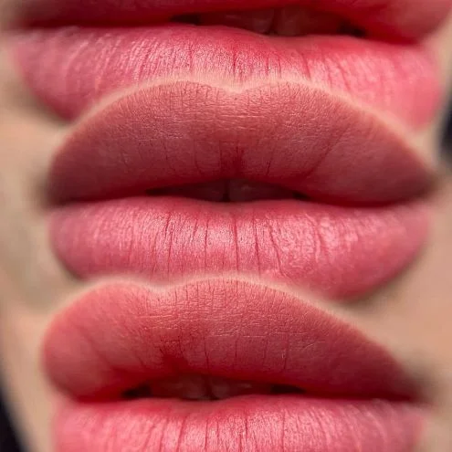 Пигмент для губ #206 Пепельная роза