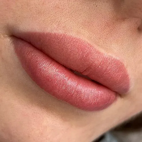 Пигмент для губ #206 Пепельная роза