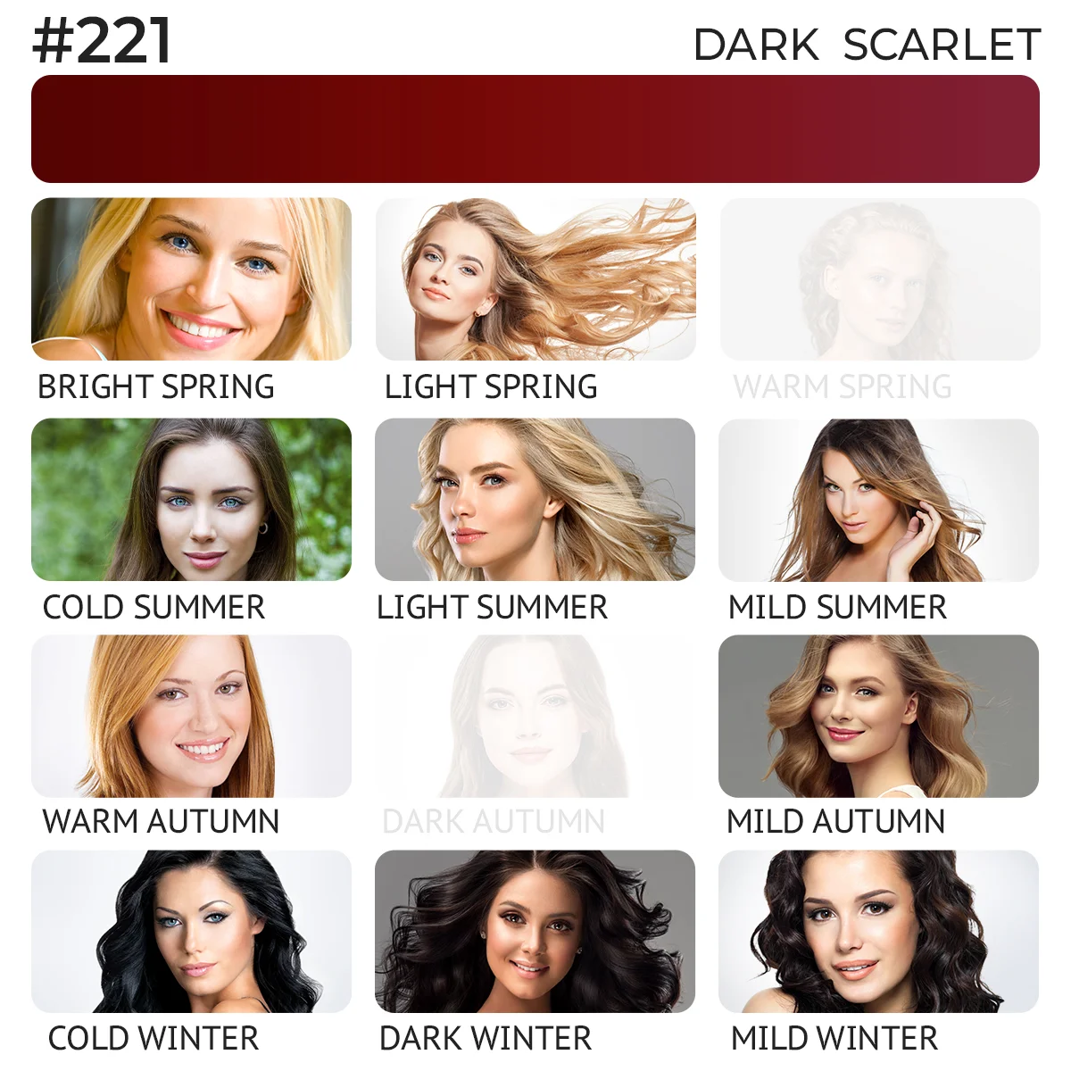 #221 Lip Pigment "Dark Scarlet"