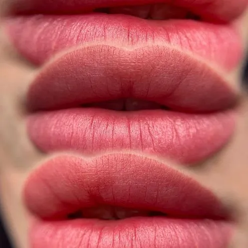 Пигмент для губ #206 Пепельная роза