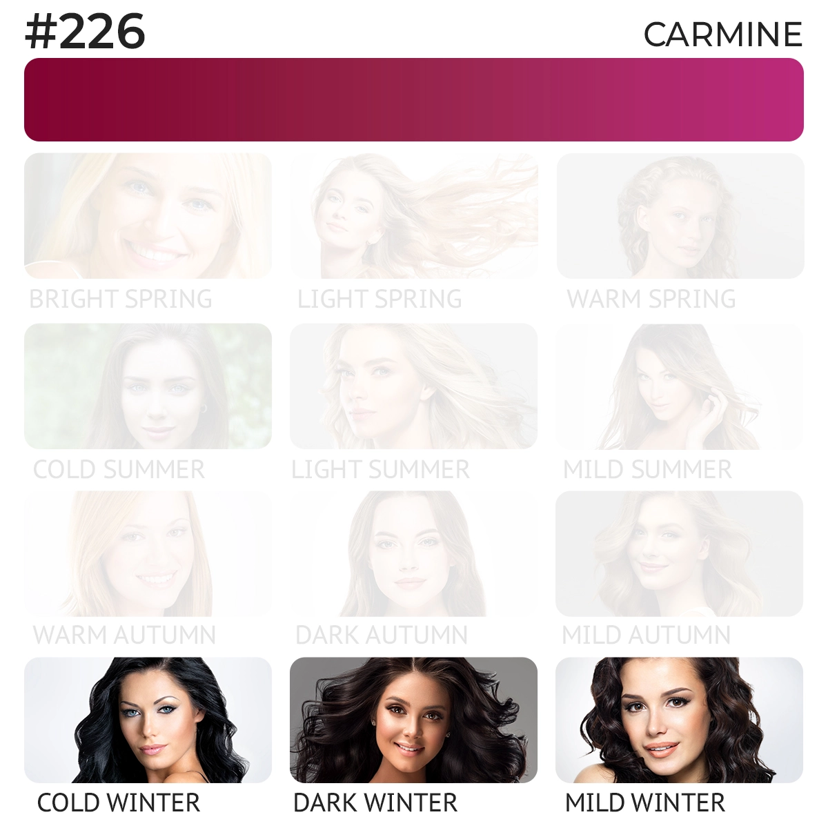 #226 Lip Pigment "Carmine"