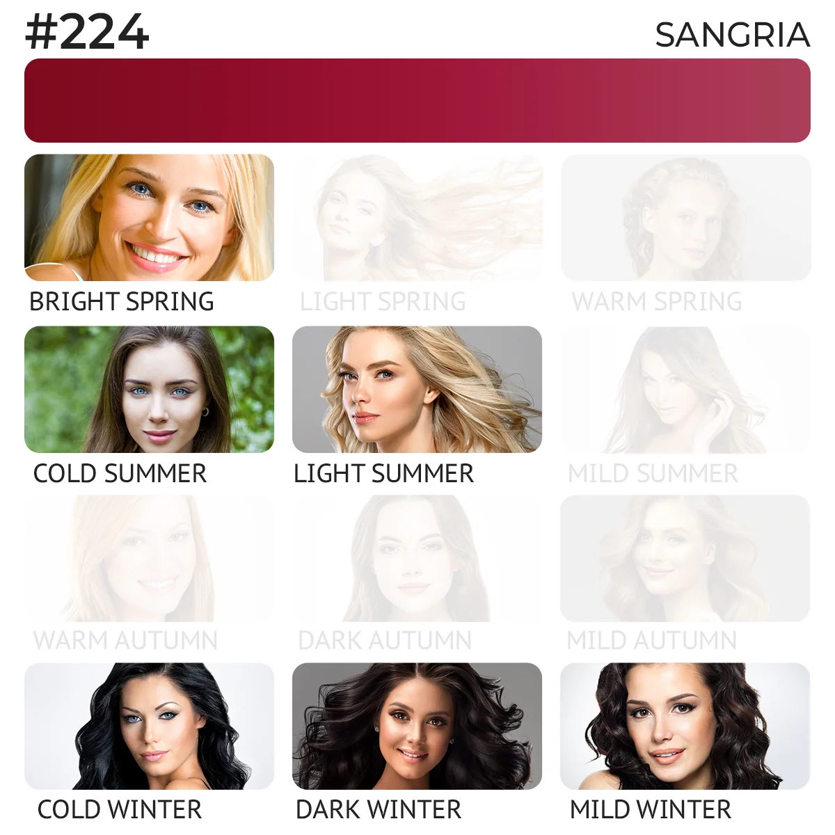 #224 Lip pigment "Sangria"