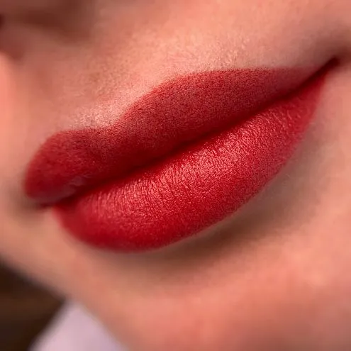 Пигмент для губ #224 Сангрия