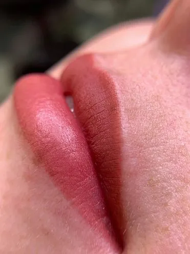 Пигмент для губ #206 Пепельная роза