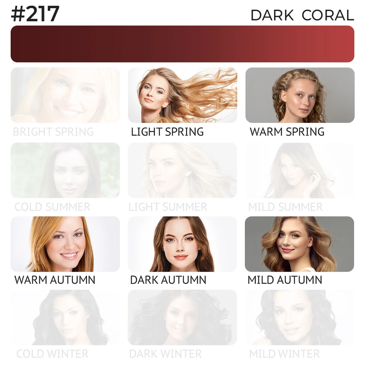 #217 Lip Pigment "Dark Coral"