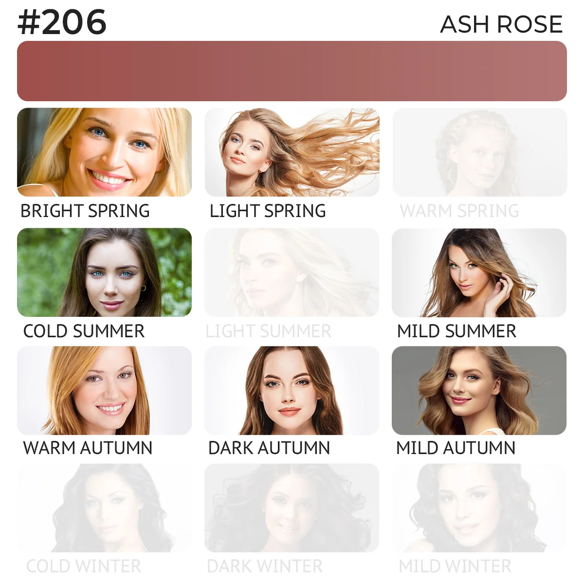 #206 Lip pigment "Ash rose"